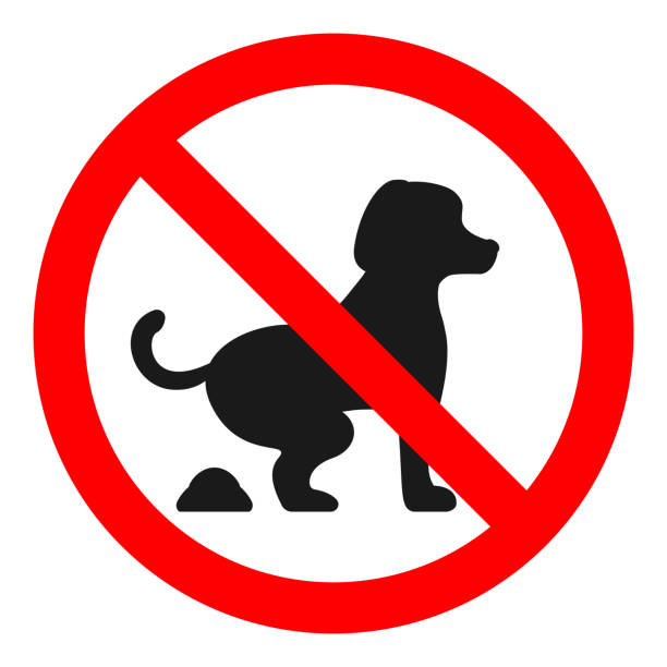 Запрет на выгул собак на территории школы.